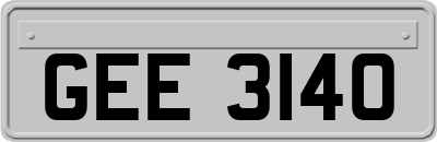 GEE3140