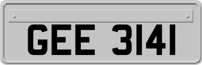GEE3141
