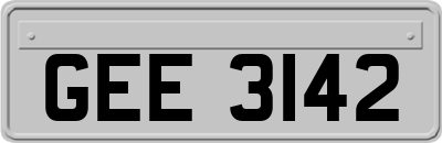 GEE3142