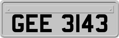 GEE3143