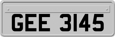 GEE3145