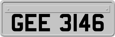 GEE3146