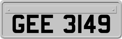GEE3149