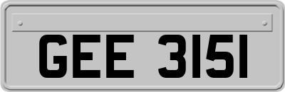GEE3151