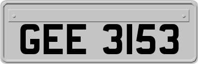 GEE3153