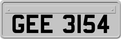 GEE3154