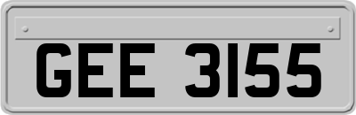 GEE3155