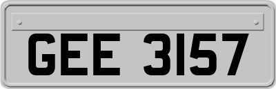 GEE3157