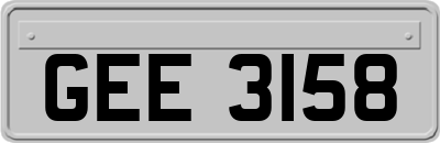 GEE3158