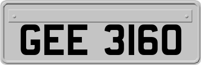 GEE3160