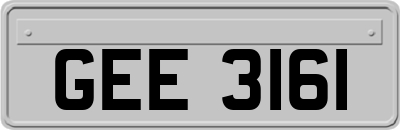 GEE3161