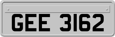 GEE3162