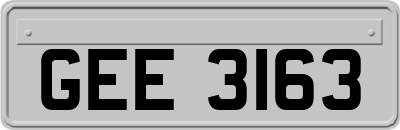 GEE3163