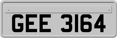 GEE3164