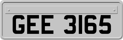 GEE3165