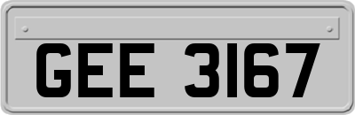 GEE3167