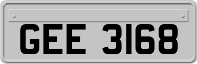GEE3168