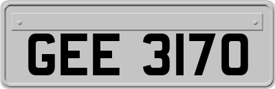 GEE3170