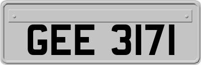 GEE3171