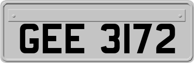 GEE3172