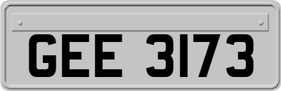 GEE3173