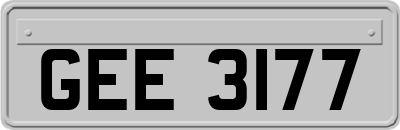 GEE3177