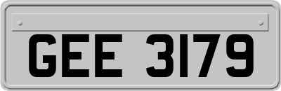 GEE3179