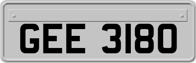 GEE3180