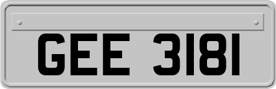 GEE3181