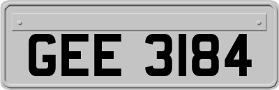 GEE3184