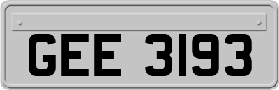 GEE3193