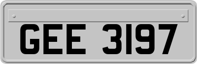 GEE3197