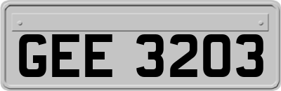GEE3203