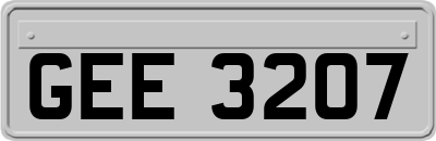 GEE3207