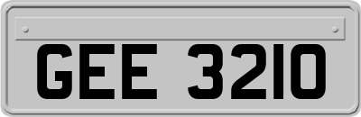 GEE3210
