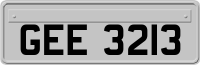 GEE3213