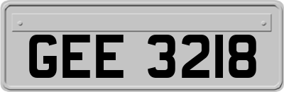 GEE3218