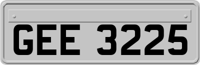 GEE3225