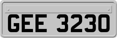 GEE3230