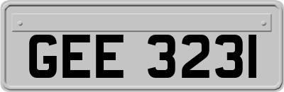 GEE3231