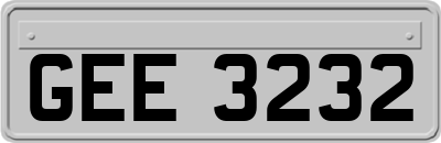 GEE3232