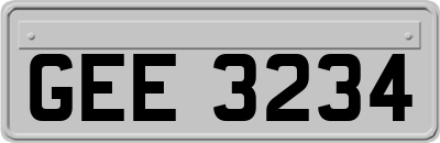 GEE3234