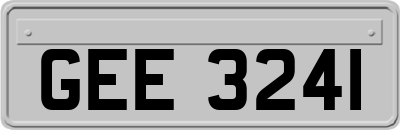 GEE3241