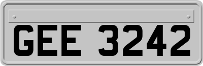 GEE3242