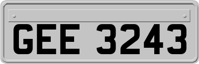 GEE3243
