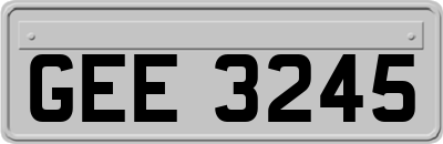 GEE3245