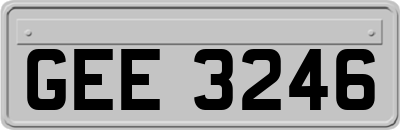 GEE3246
