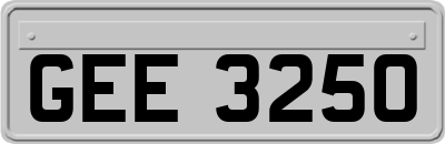 GEE3250
