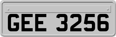 GEE3256