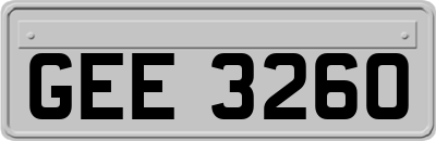 GEE3260